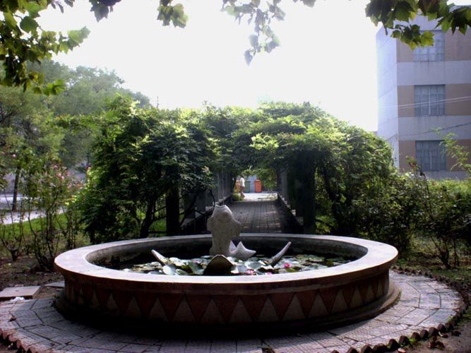 济南各区教学质量,济南教资好的高中