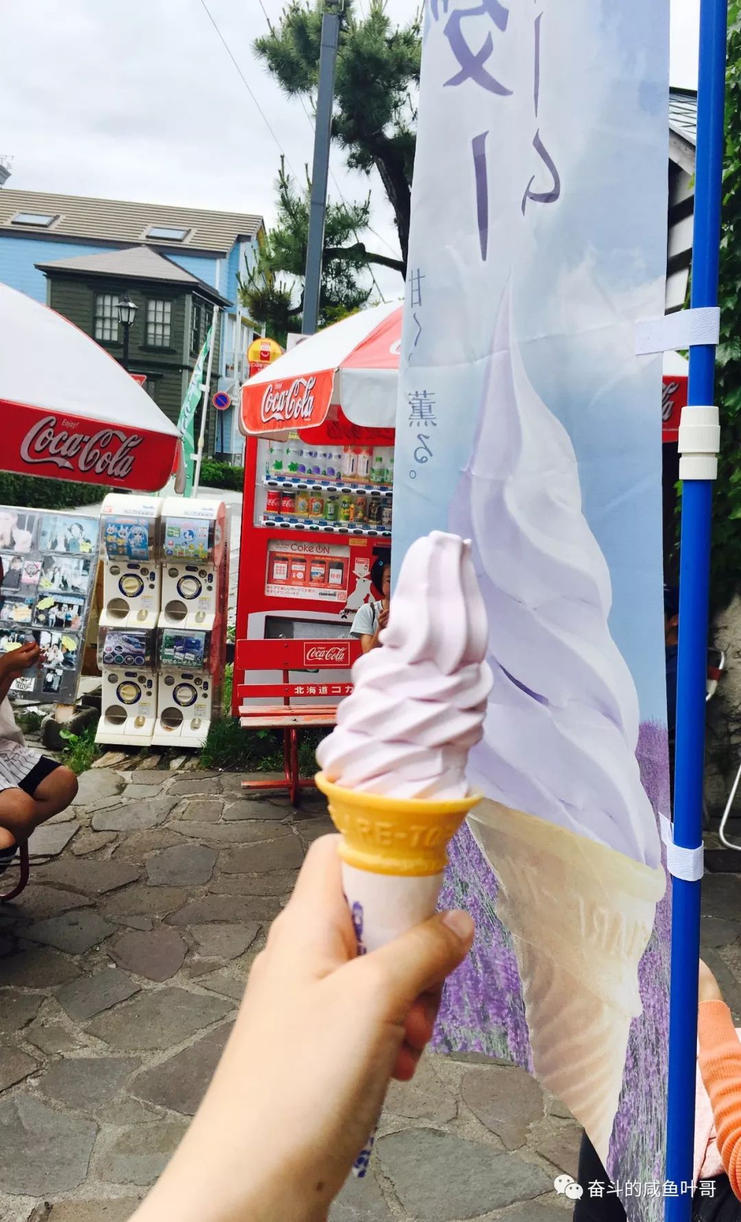 北海道函馆推荐,北海道的夏天