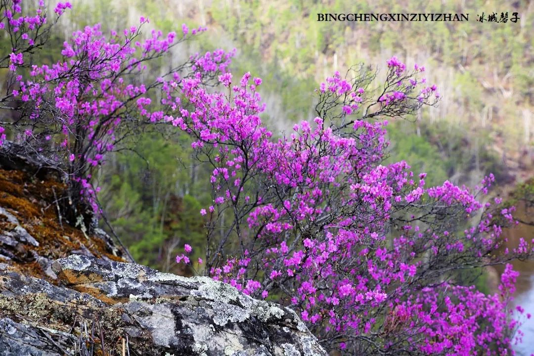 寻找中国最美的春季,探寻中国最美秘境