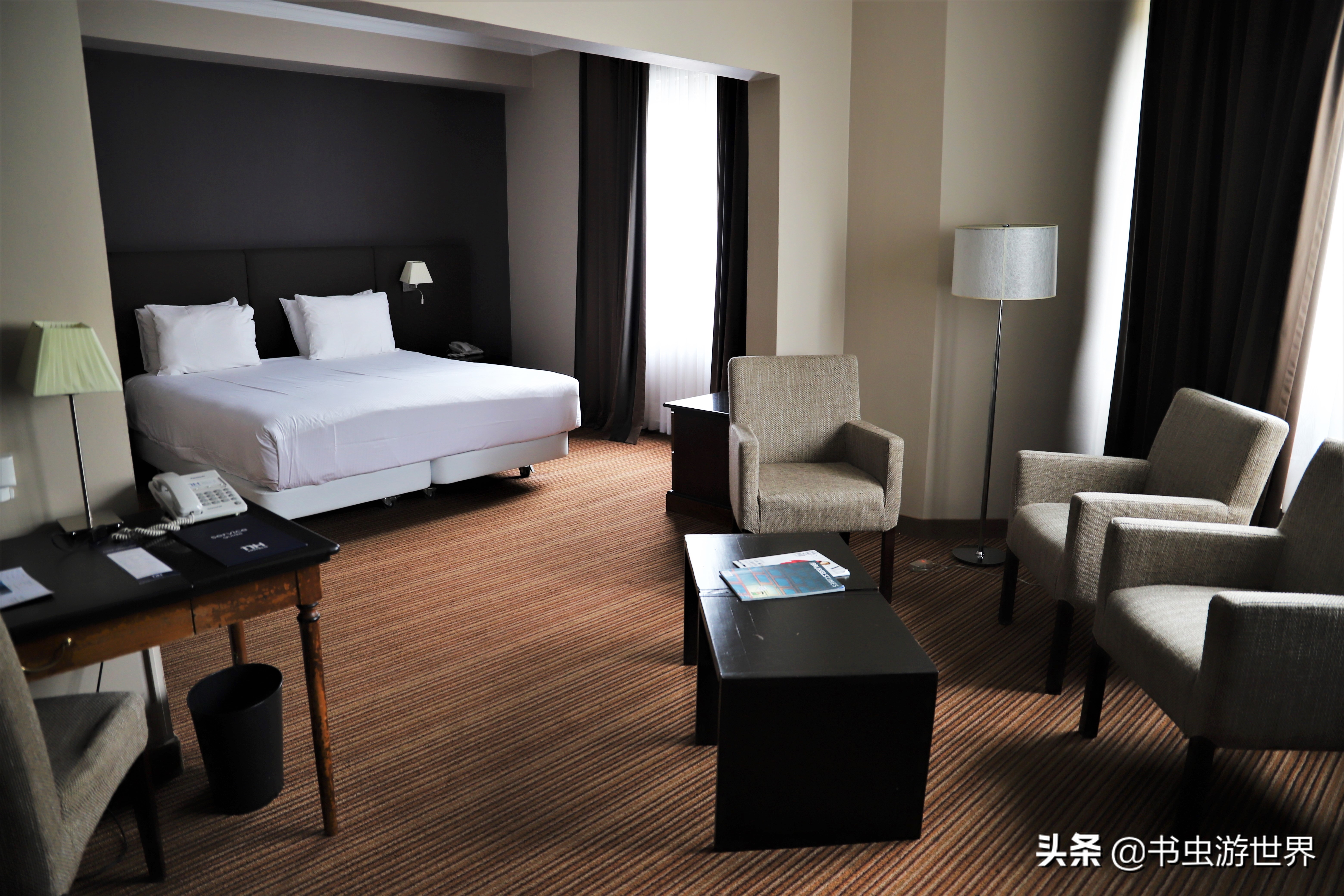 同样是布偶猫差别咋就这么大,布鲁和布鲁