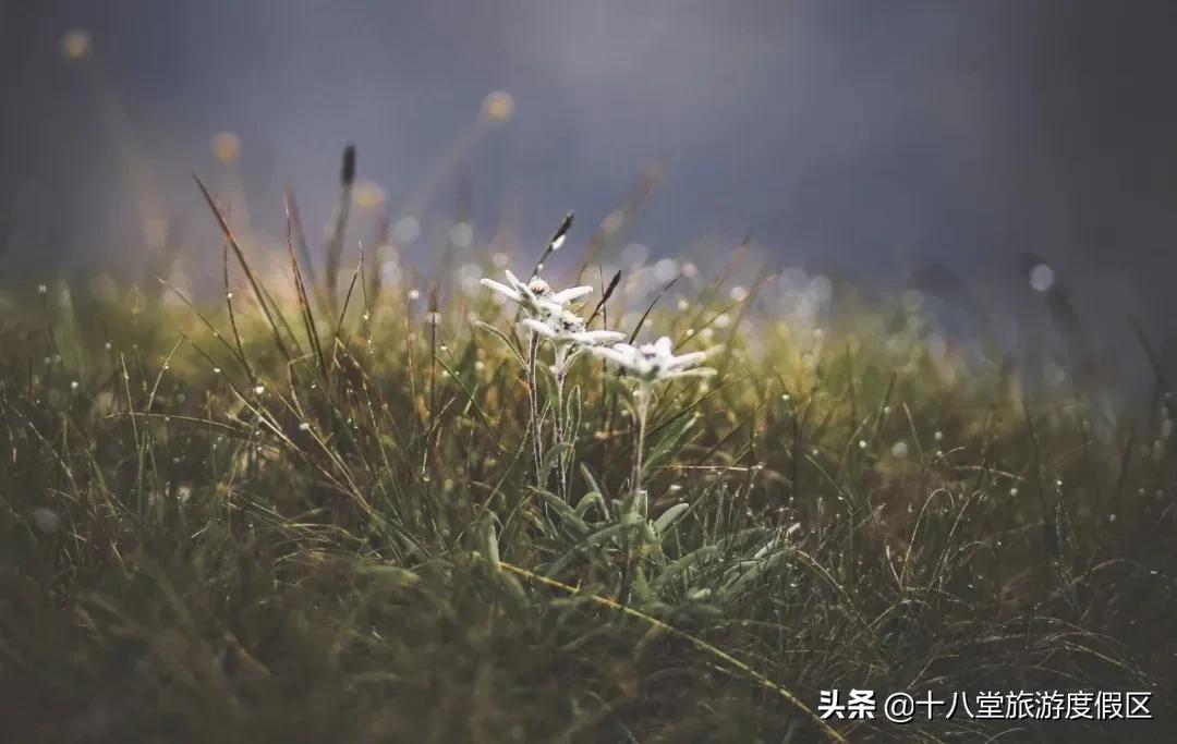 蔚县麻田岭小天山十八堂,小天山业态招商