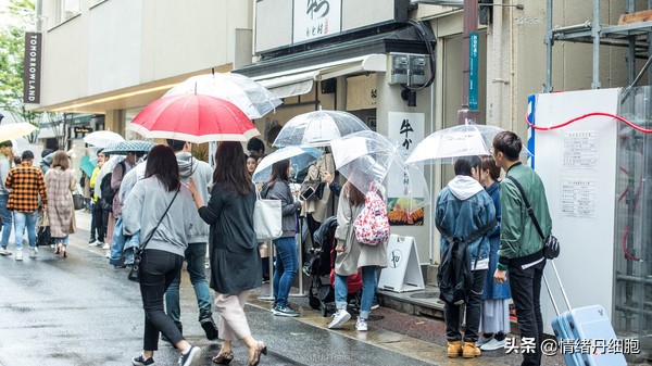 皇家加勒比邮轮量子号新加坡出发,皇家加勒比海洋量子号邮轮之旅