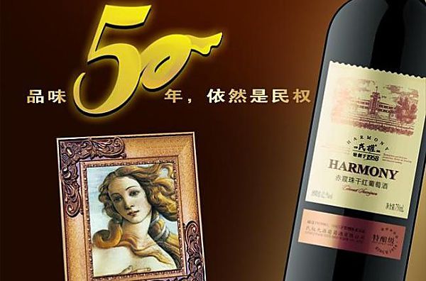 商丘市华商之源,华商之源集团