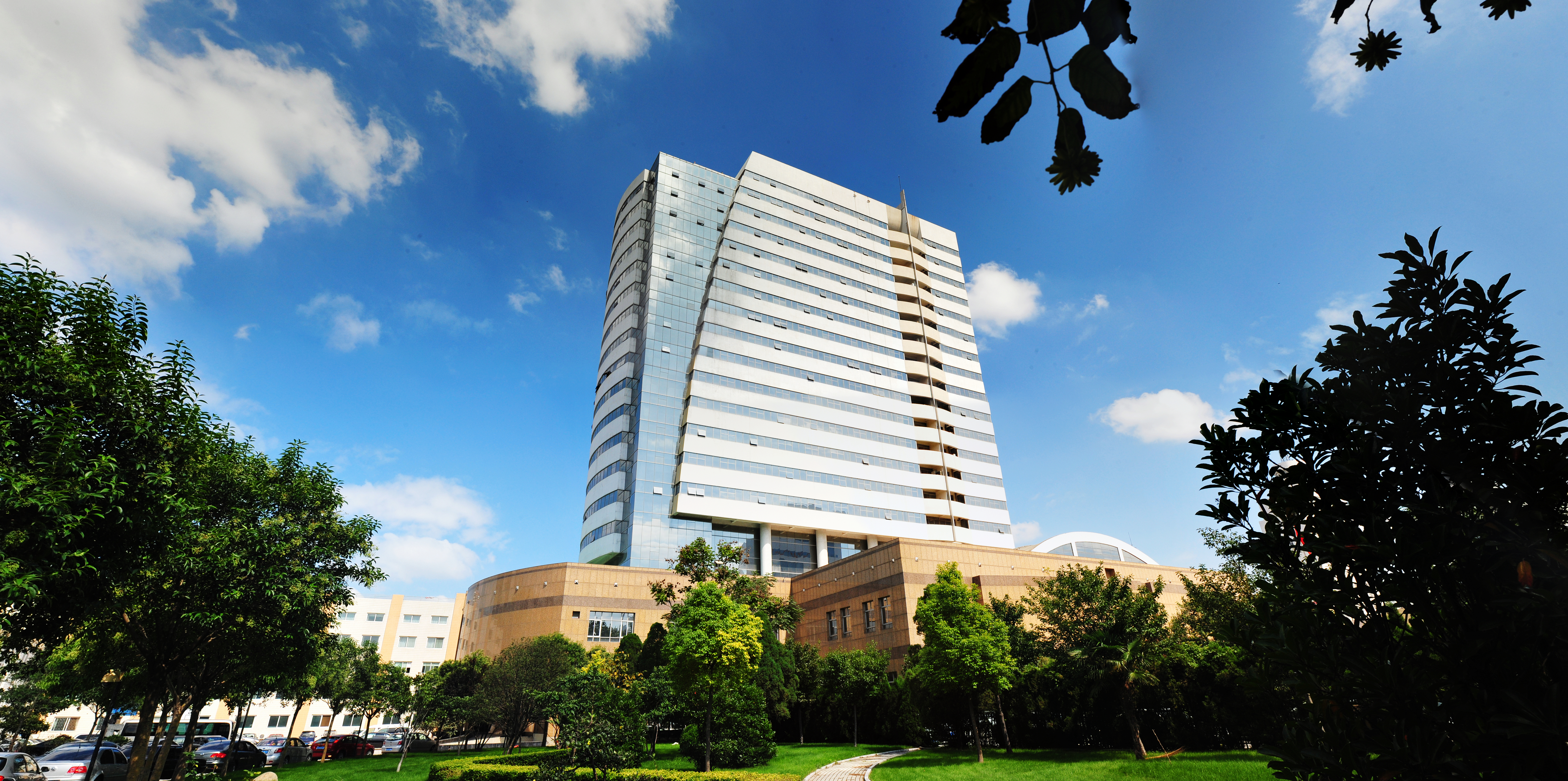 水利部黄河水利,水利部黄河治理工程