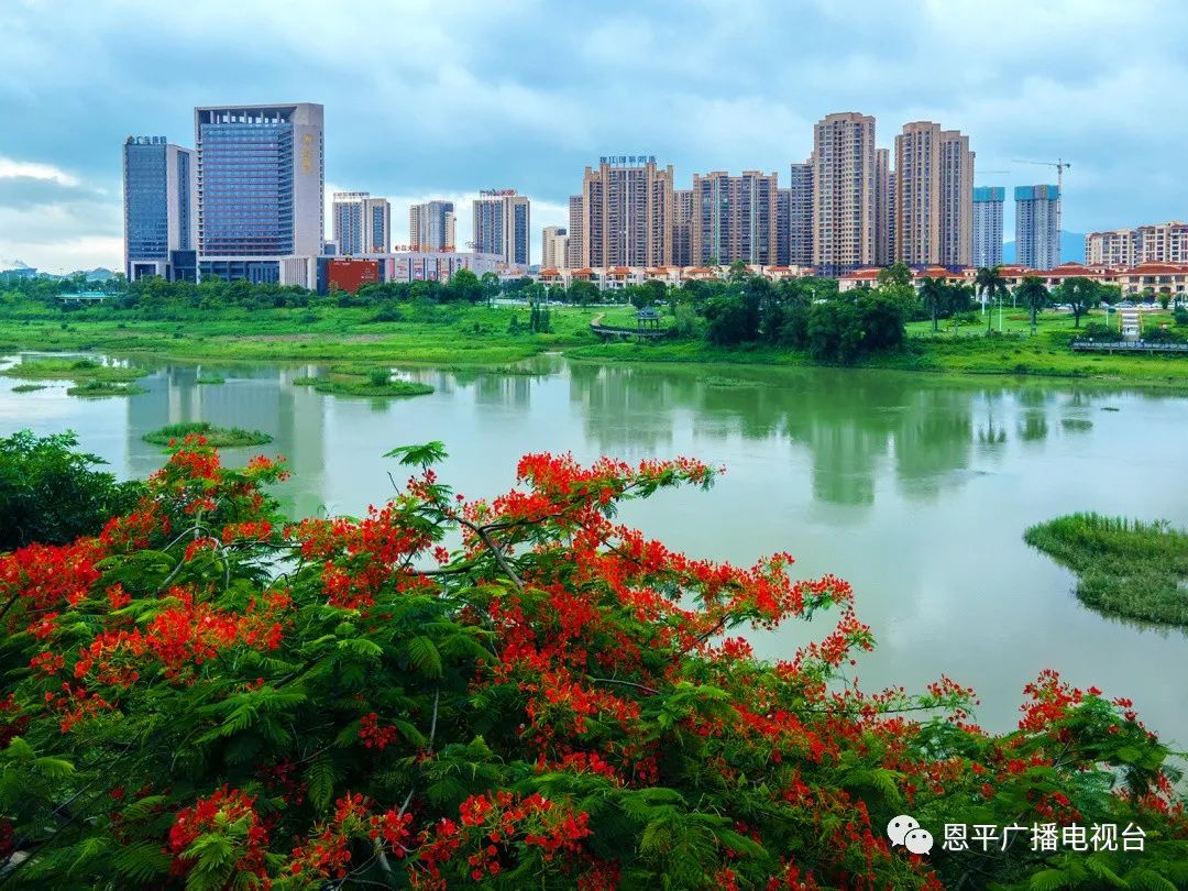 恩平拍客郑君文：用快门定格家乡变迁