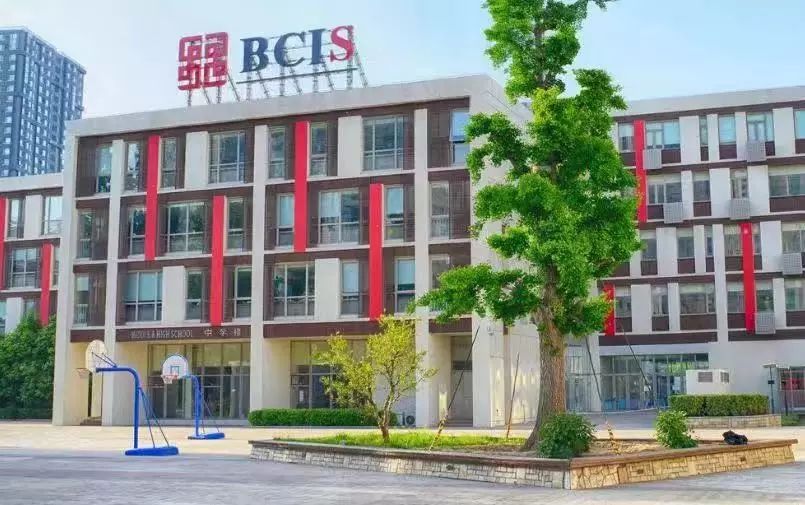 双井,你凭什么可以对标全世界?