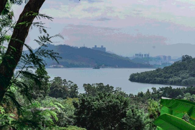 又发现深圳一个“绝美打卡地”!“淘金”绿道,人少免费