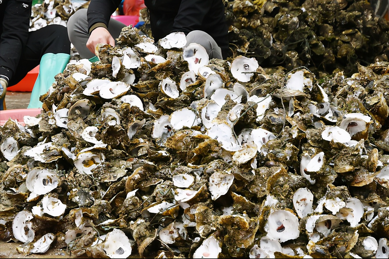 海阳沙雕公园2021,海阳沙雕公园