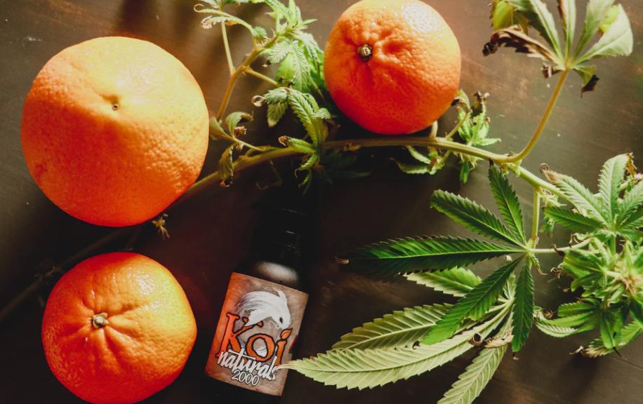 水果店加盟排行榜前十名加盟费,加盟一个小型水果店要投资多少