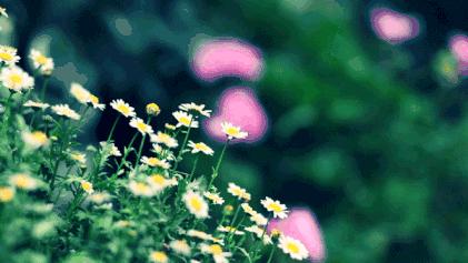 当不开心的时候怎么办,当你不开心的时候你会怎么办文案