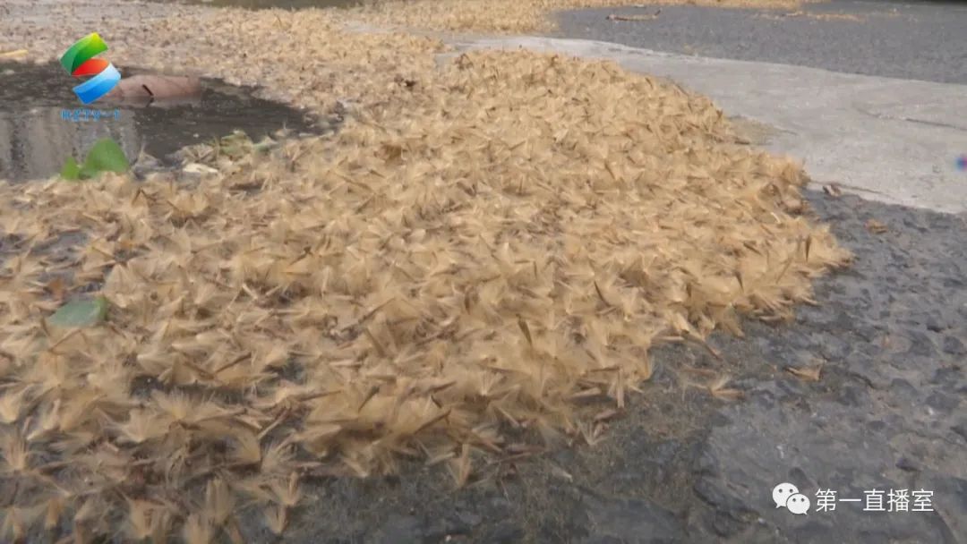 慢性鼻炎的健康宣教,文明始于心安全始于行