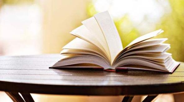 海布里之王回归进球,海布里之王十大进球