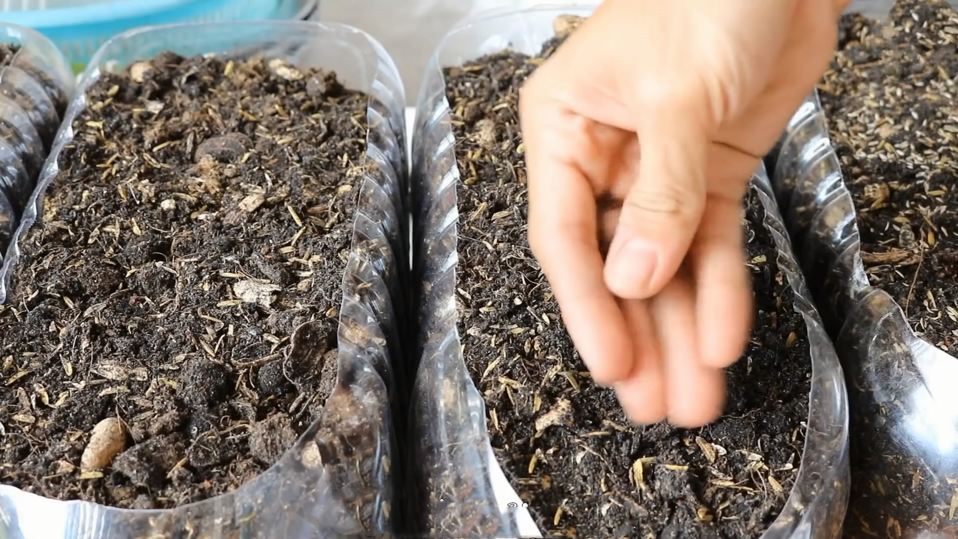 用完的油桶不要扔,废油桶种菜制作几种方法