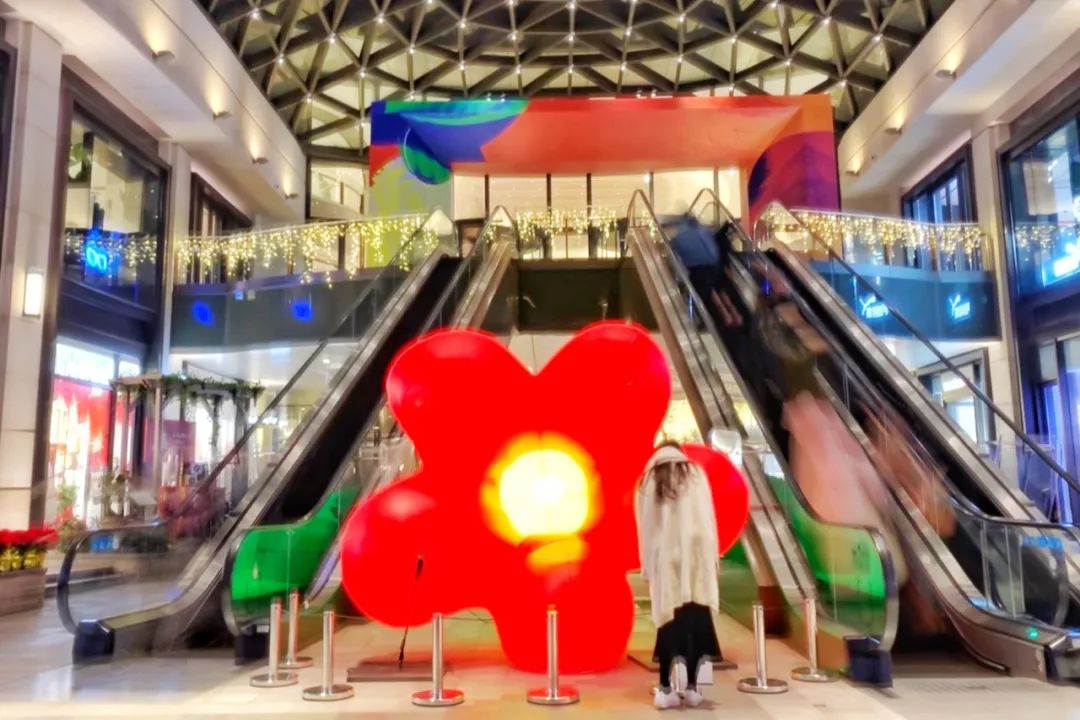 1月扫街日记（中）