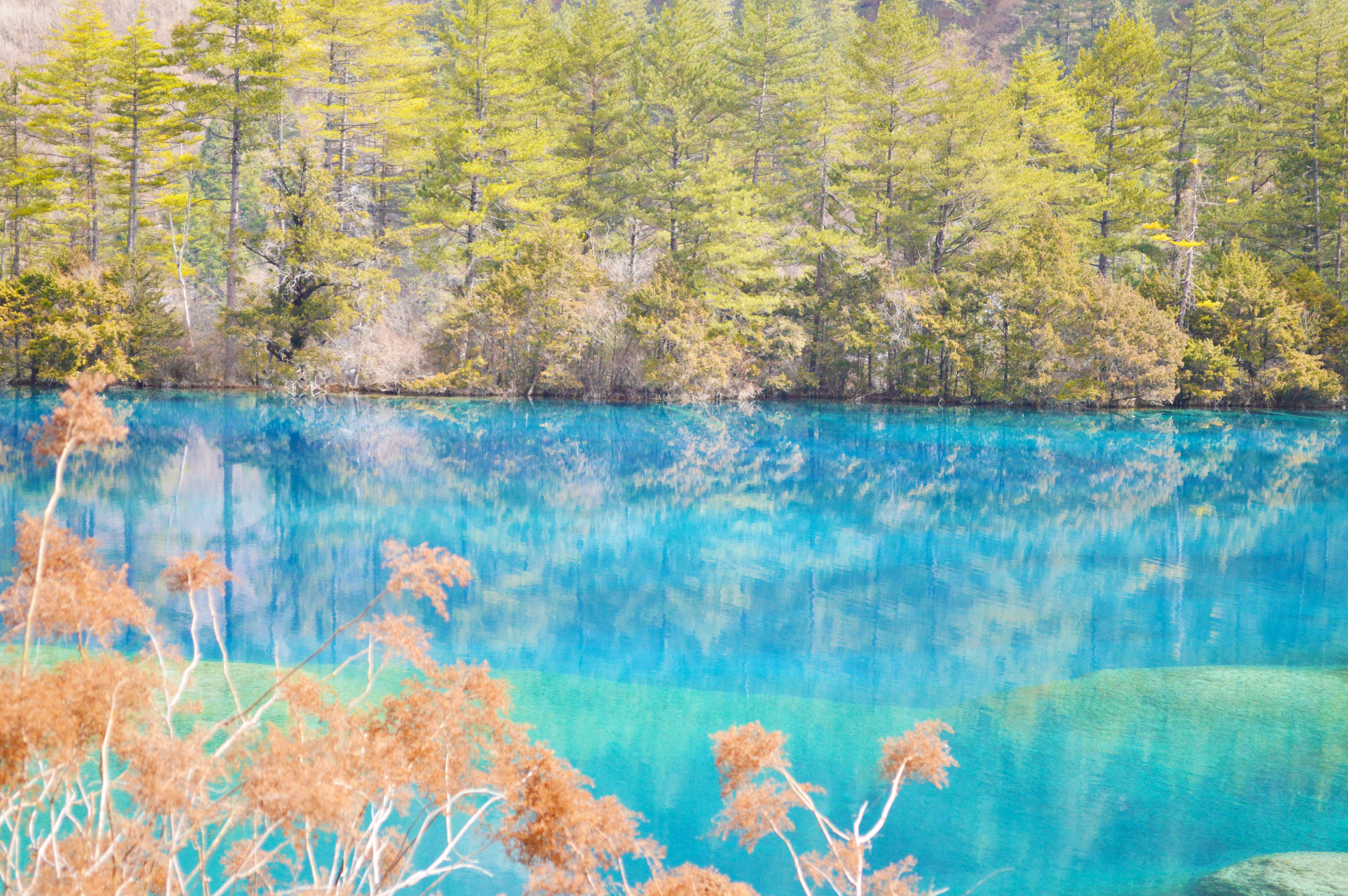 九寨沟震后最美景点开放了吗,九寨沟地震珍贵景点