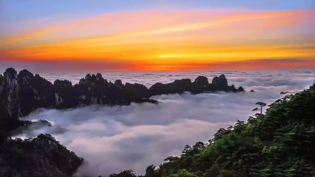 2019这些好消息,20条好消息振奋人心