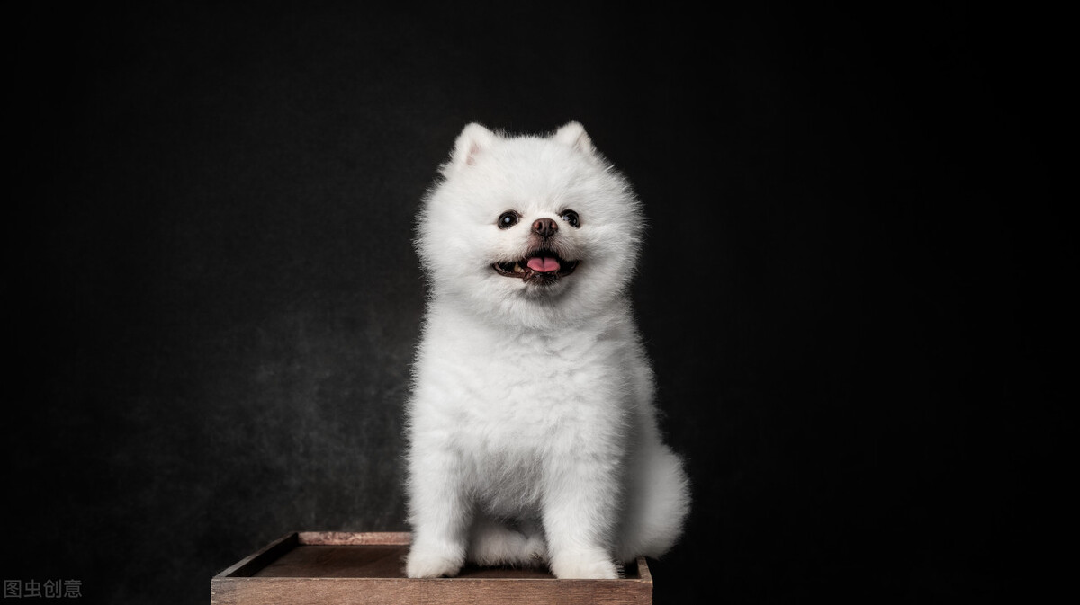 被狗咬了需要采取何种法律途径,被邻居家狗咬了怎么处理