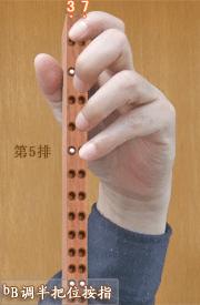 二胡dg调内外弦位置,二胡dgf调把位图