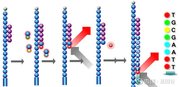 全场硬菜！分子诊断技术全解析
