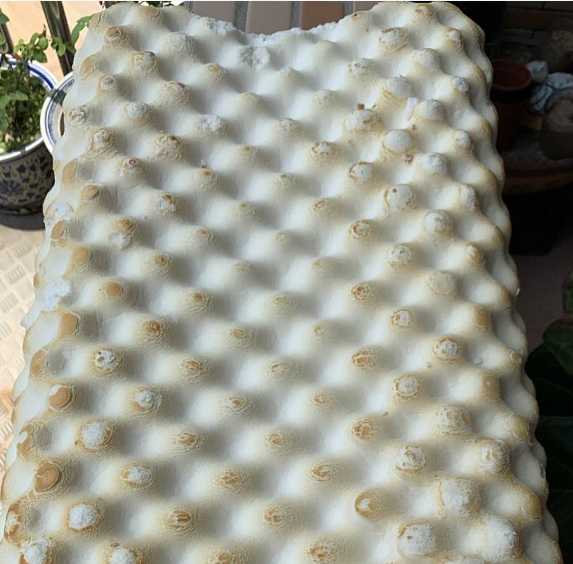 royallatex泰国乳胶枕曝光,真正的皇家乳胶枕