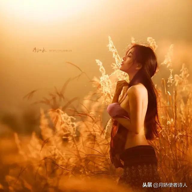 发送文章就能赚钱,手把手教你发文章赚钱