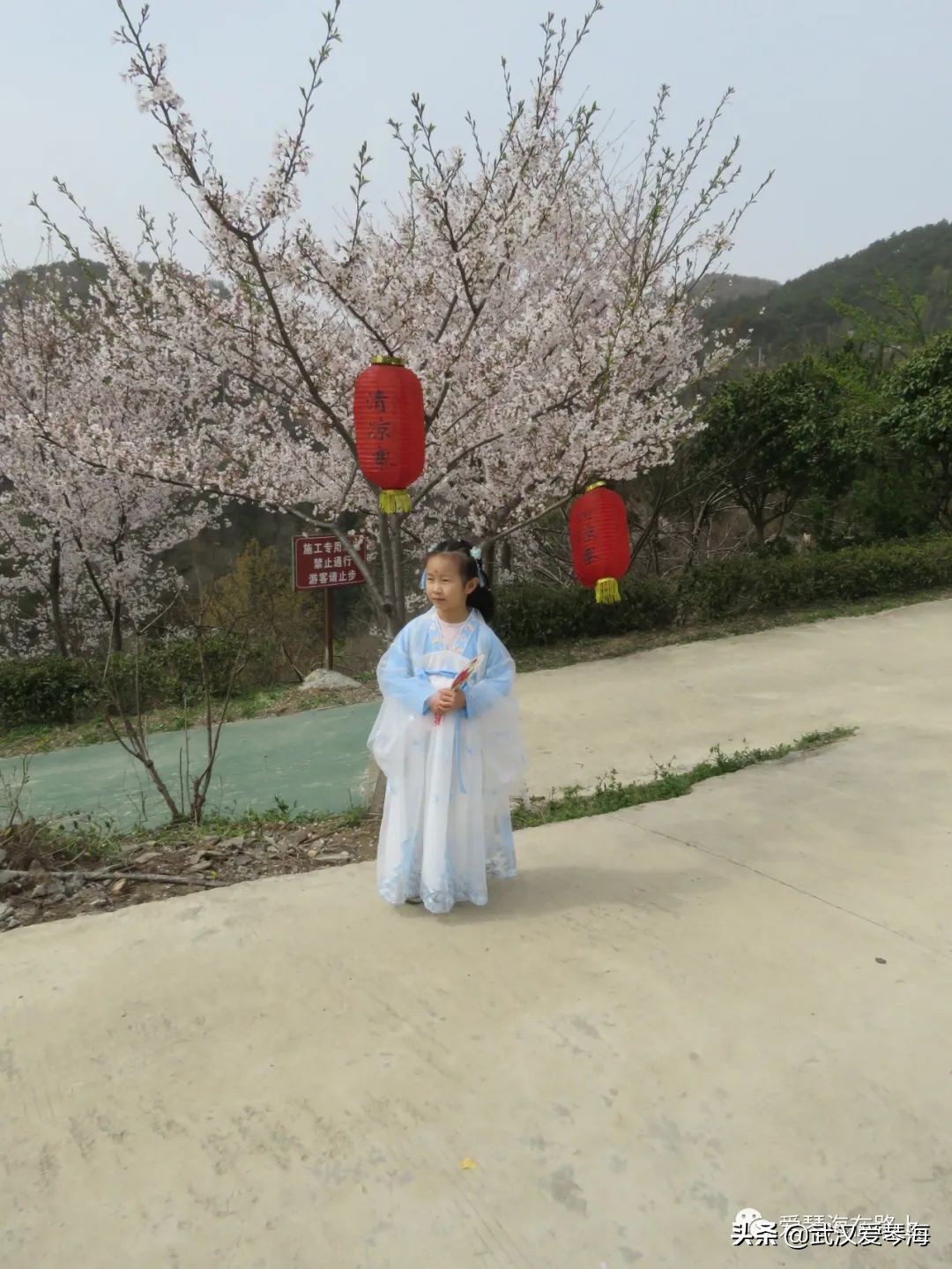 清凉寨樱花烂漫,清凉寨野景