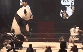 马来西亚装备多国先进战机,马来西亚空军有多少架飞机