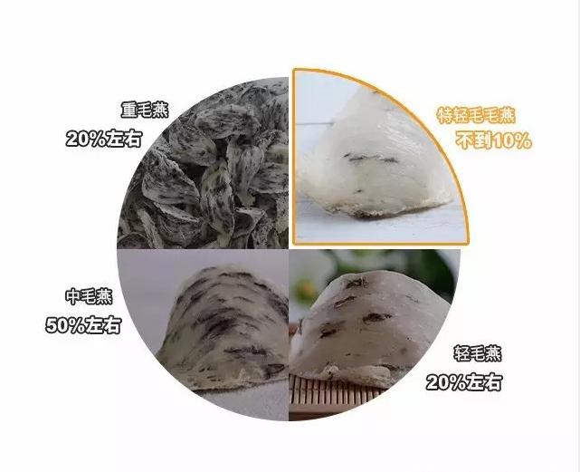 燕窝真假用什么方法鉴别,燕窝真假鉴别方法