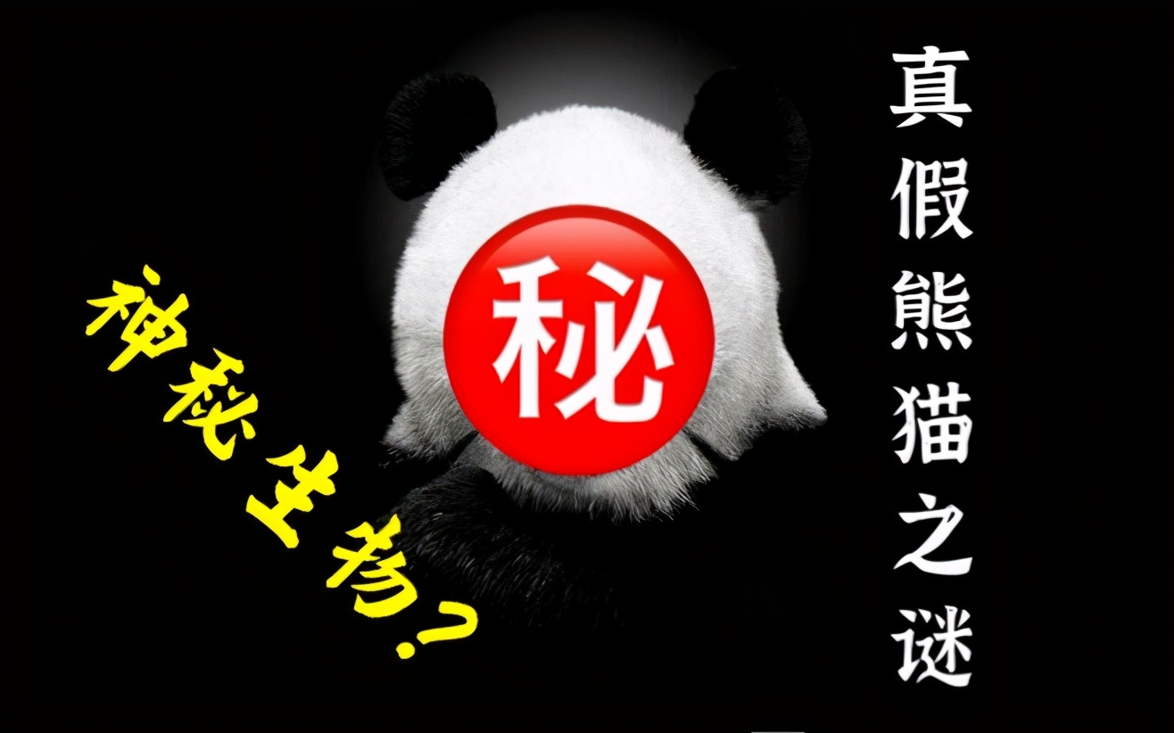 震惊全国的熊猫事件,当年震惊全国的熊猫乌龙事件