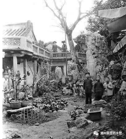 潮汕历史最严重瘟疫,潮汕鼠疫有多严重