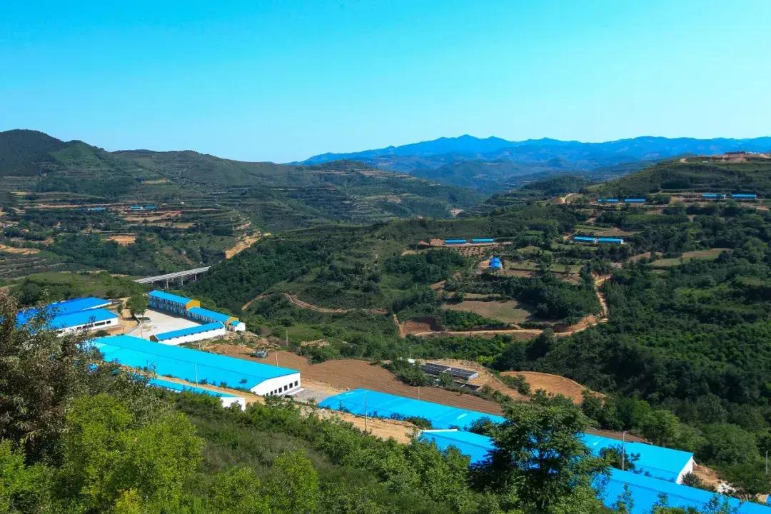 A股爆雷背后：三年前借牛市买买买，冯小刚公司仅值1万却卖10亿