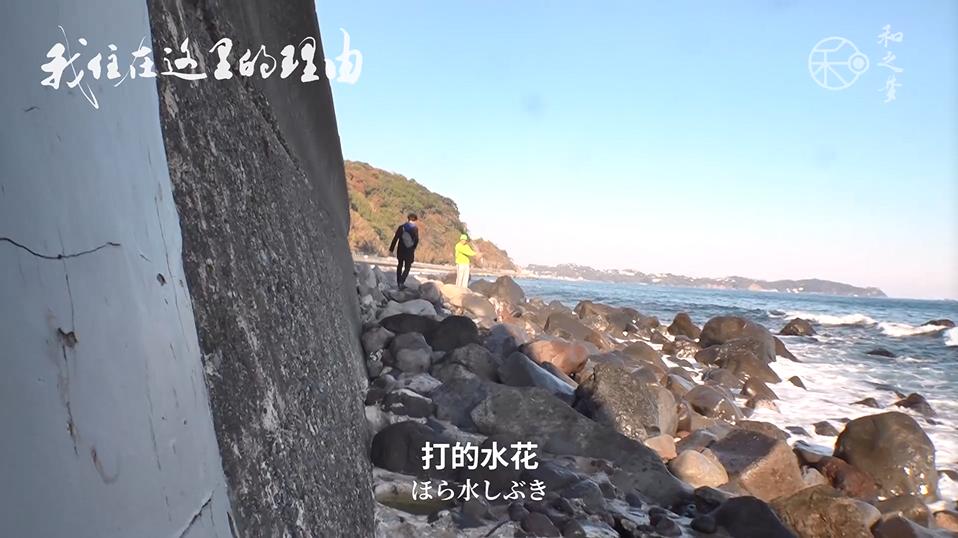 从裸奔大叔到“勇闯天涯”设计师，退休后他在海边给自己盖房子