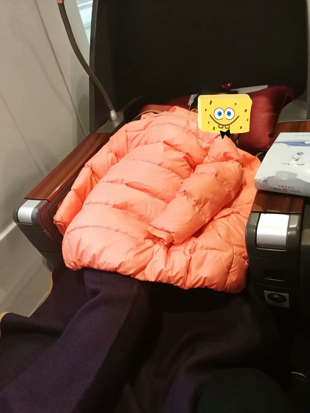 广州长隆海洋王国和珠海海洋王国,广州长隆海洋王国和珠海长隆