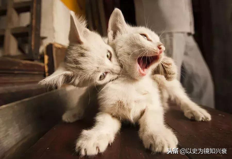 余生不想跟任何人争辩,余生不想与人争辩