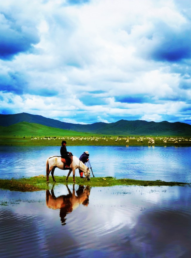 一条绝美草原之路,一条绝美的自驾公路