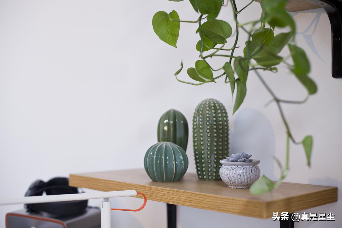 有钱没钱装套房：晒晒我的第二小窝