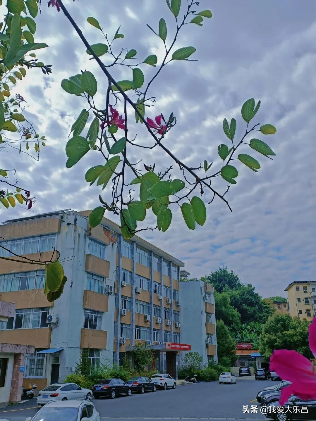 乐昌市棉纺厂历史,乐昌市最老的纺织厂