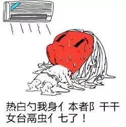 三伏天来临,我终于成为了太阳的后裔:热死宝宝了=Ifeelhot?