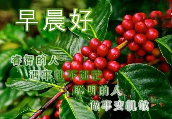 岁月不饶人机会把握好,岁月不饶人首先不饶女人的说说