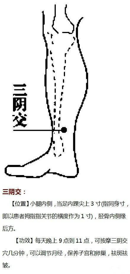 祛斑的最佳穴位示意图,按摩哪个穴位祛斑背部