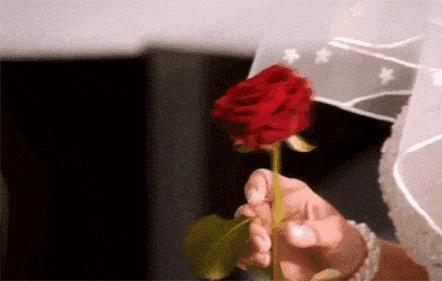 带革字的英文谐音网名,谐音梗网名英文