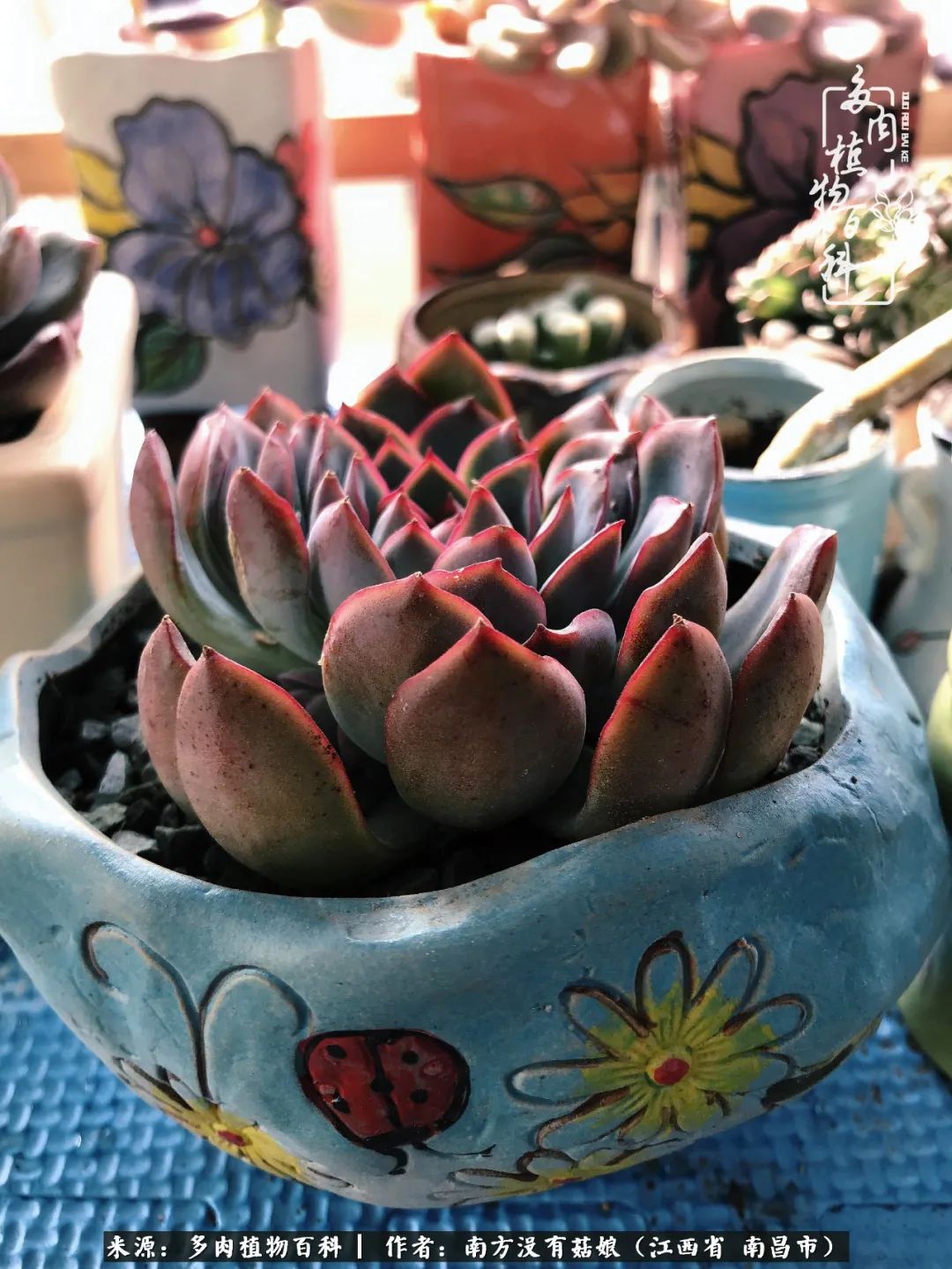 既见云胡不喜,既见君子云胡不喜毛笔楷书