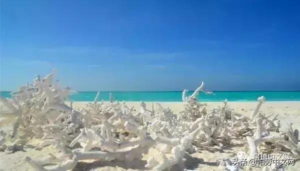 帕劳是哪个国家,帕劳群岛是哪个国家