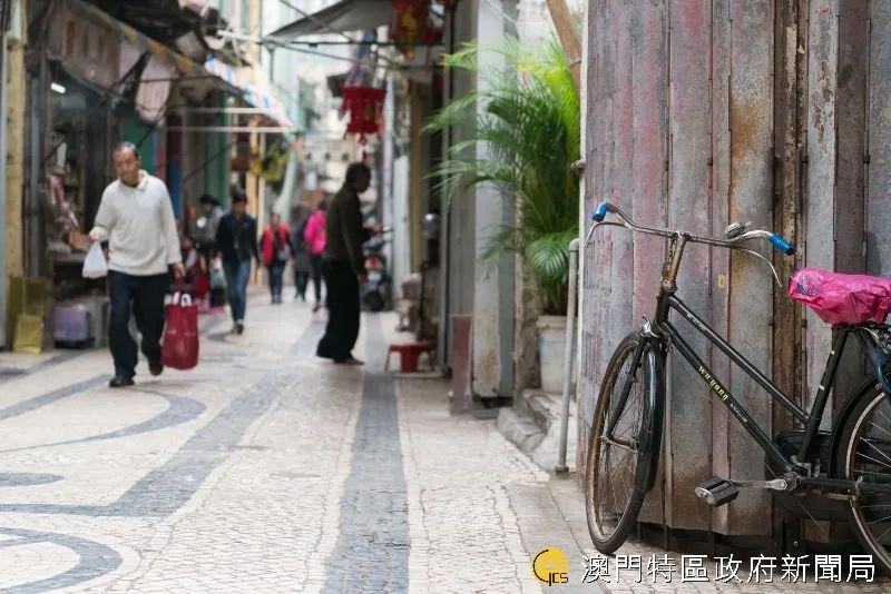 来澳门必游的景点,来澳门必逛的网红打卡景区