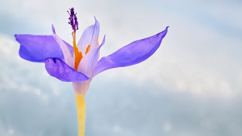 给青年教师的36条成长建议读后感,读书给教师的建议