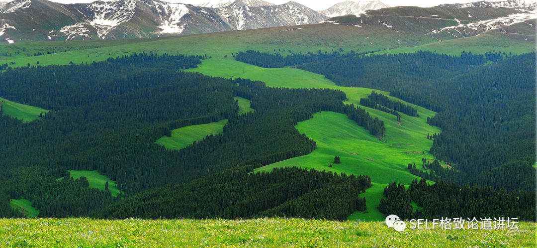 新疆天山申请世界自然遗产,天山为什么被入选为世界自然遗产