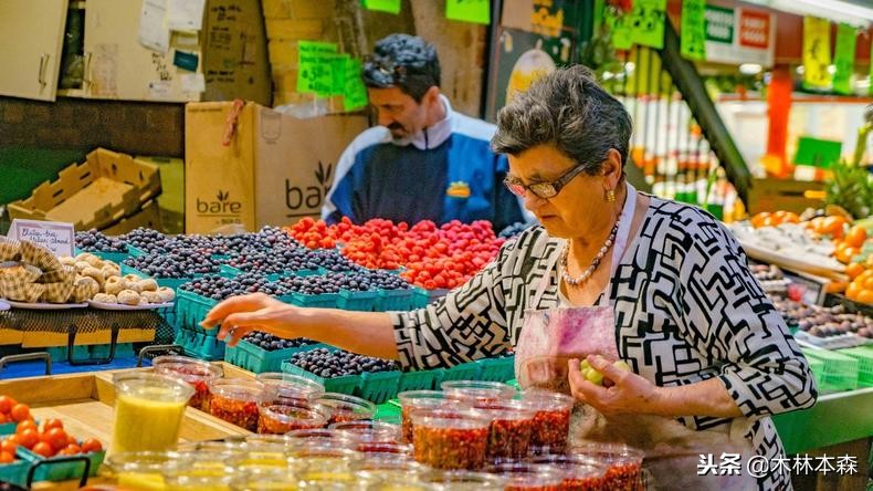 加拿大多伦多生活日记,加拿大多伦多留学生活纪实