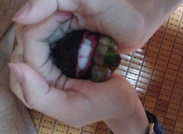 山竹正确的打开方式这样吃太方便,这才是山竹的正确吃法你学会了吗