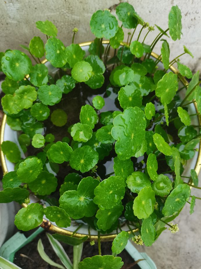 下雨天怎么办,下雨天怎么办歌曲