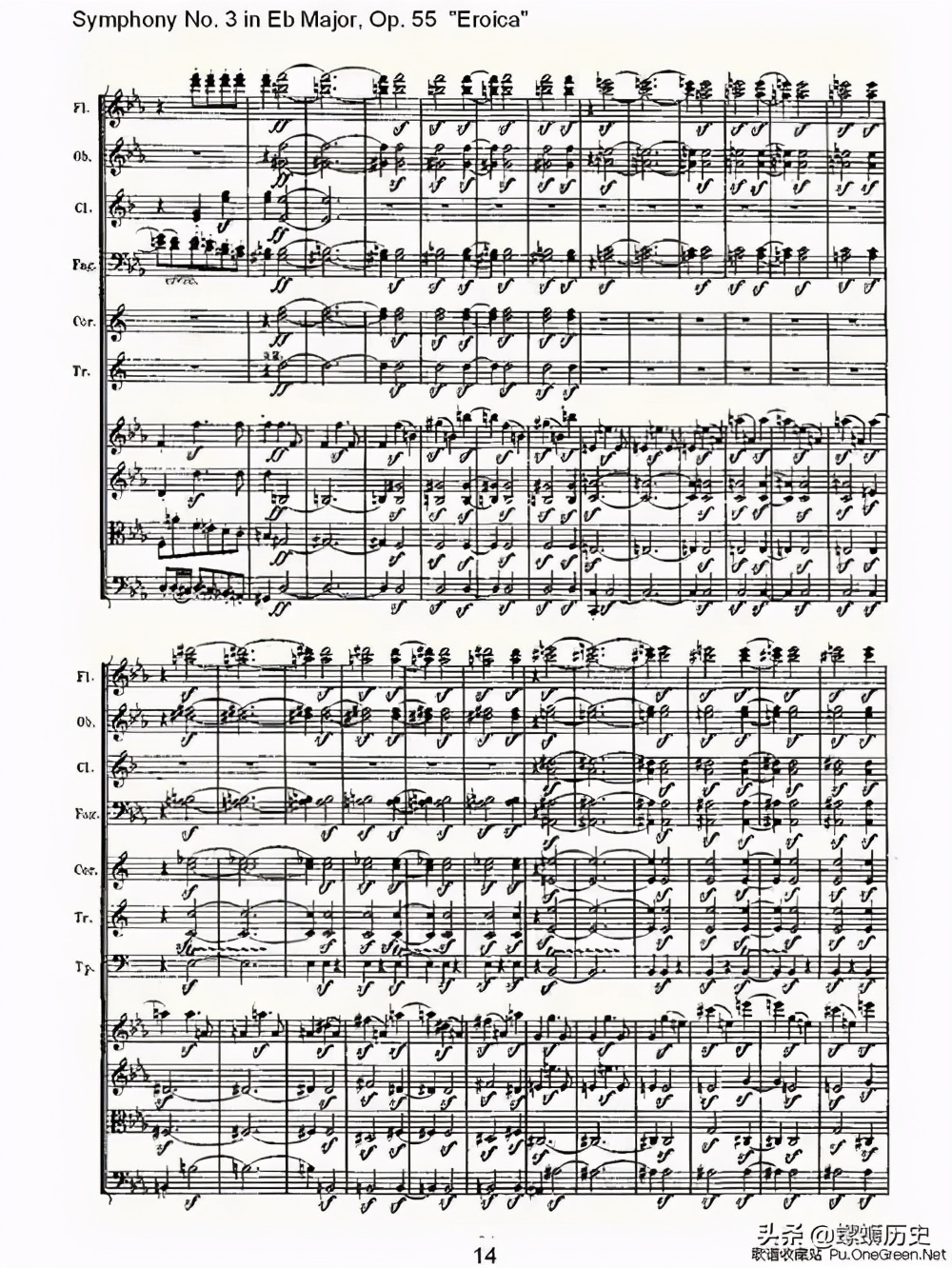 用一句话说出你了解的贝多芬,你不知道的冷知识贝多芬